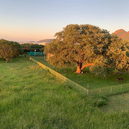 The Ultimate Escape - With Backup Electricity - Gaborone Eksteriør billede